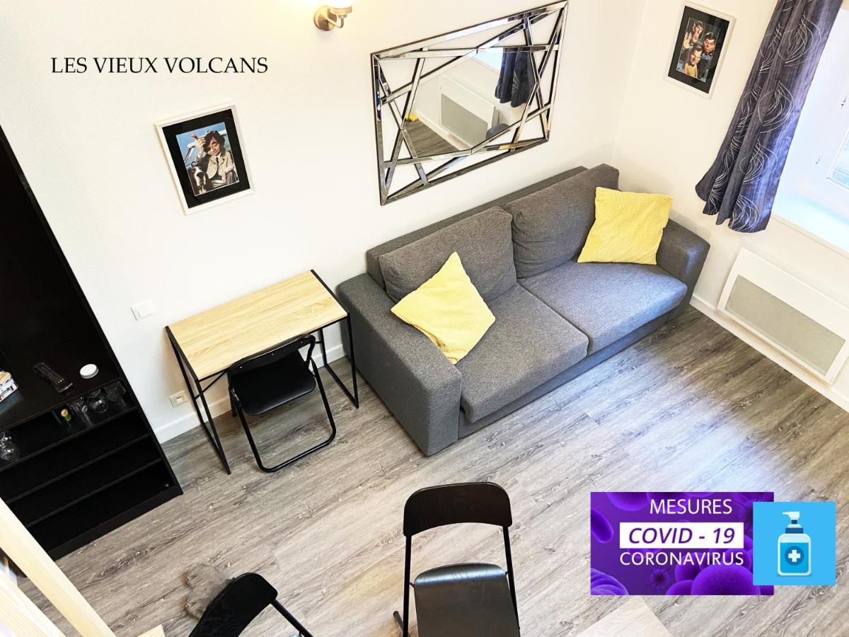 Vivez Sur Un Volcan, Vivez Clermont Ferrand Apartment Exterior photo